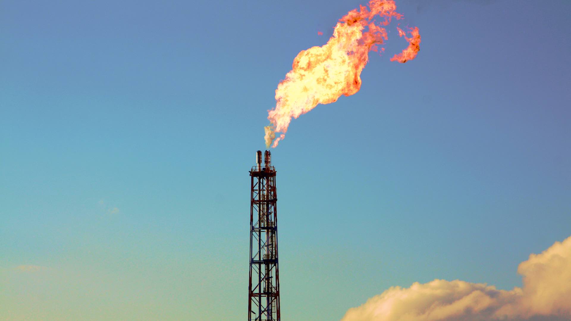 Global energy demand growth 2024 sees record solar capacity - Anti-Jacobin